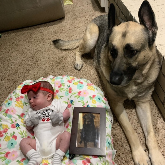 Meet your Posher, Janice - Picture 9 of 9